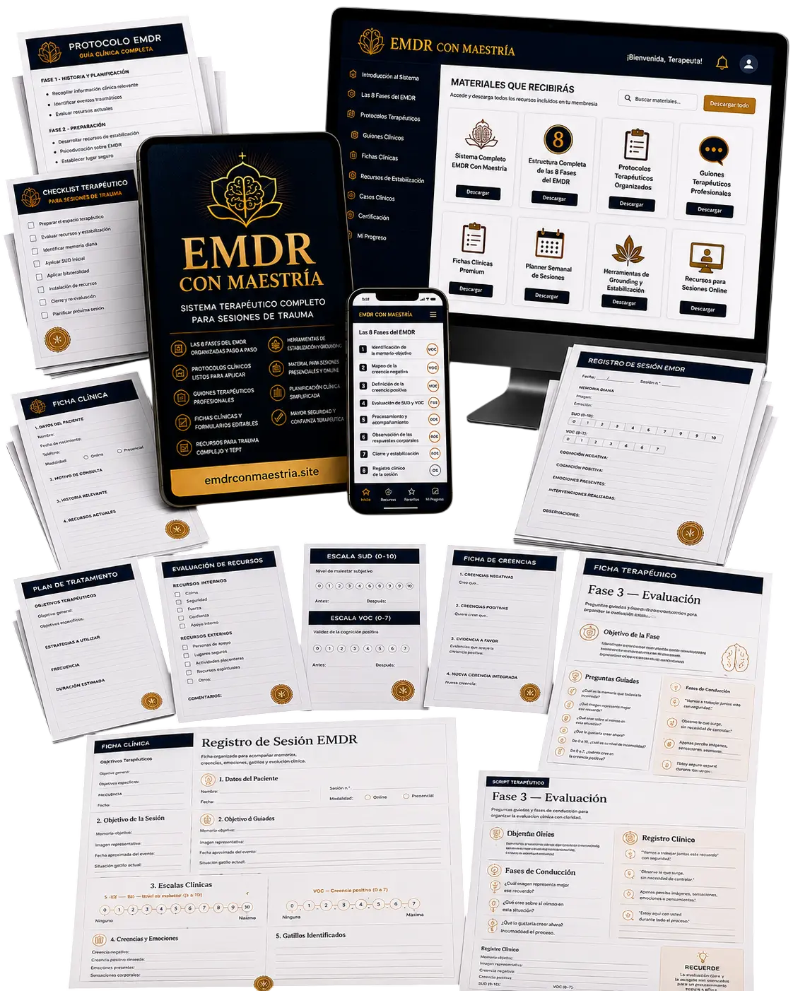 EMDR Con Maestría